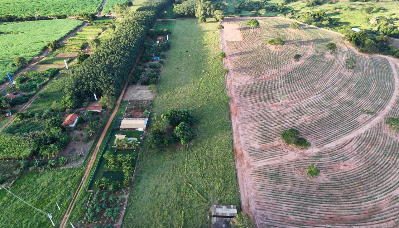 Plantações e preparo de solo